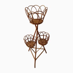 Wicker Plant Stand, 1960s