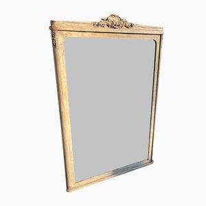 Large 19th Century French Carved Wood Painted Mirror