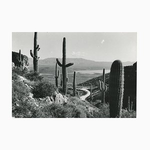 Erich Andres, Mojave Desert, California, USA, 1960s, Silver Gelatin Print