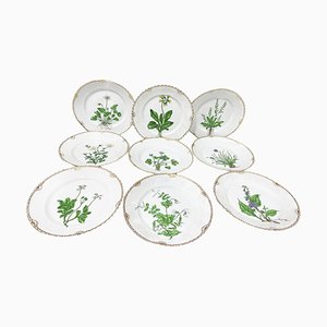 Platos de desayuno Flora Danica de porcelana de Bing & Grøndahl, Dinamarca, años 20. Juego de 9