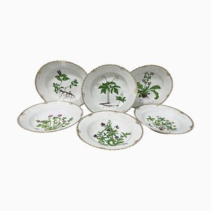 Flora Danica Porcelain Soup Plates by Bing & Grøndahl, Denmark, 1920s, Set of 6