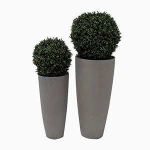 Cespugli finti con paesaggio Hortology, set di 2