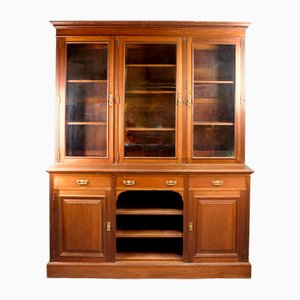 Large Mahogany Library or Display Case, France, 19th Century