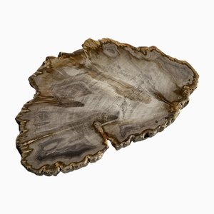 Plat Pétrifié Bio