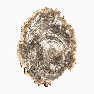 Plat Bio en Beige Petrified Fold Empat