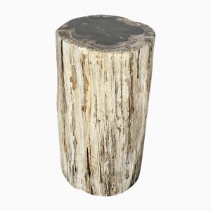 Large White Side Table in Petrified Wood