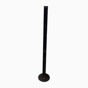 Black Aloe Model Floor Lamp by Gianfranco Frattini for Luci, 1980s