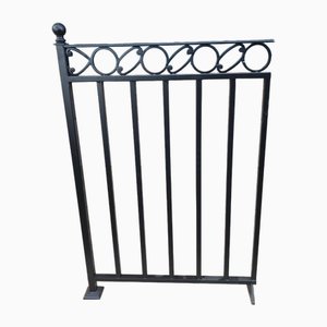 Antique French Balcony Fence with Ornament