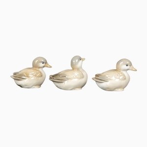 Patos de porcelana, años 70. Juego de 3