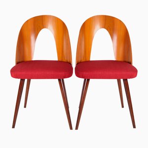 Chaises de Salle à Manger par Antonin Suman, Set de 2