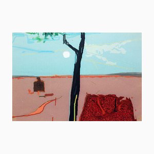 Marek Sapetto, A Shooting Range, Impresión digital, 1996