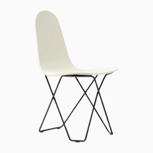 Sedia da pranzo Cactus Pop di Cuero Design