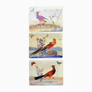 Rectangular Placemats with Birds by Corallina, Set of 6