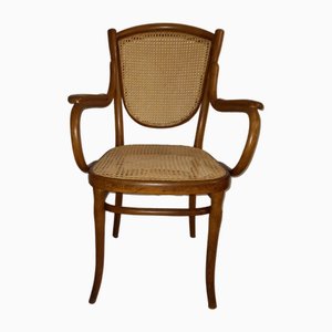 Bentwood Armchair from Thonet, 1900s