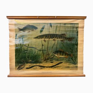 Carte Scolaire Vintage en Lin de Poissons d'Eau Douce