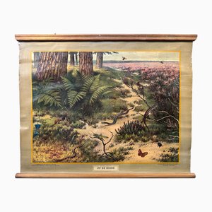 Vintage Linen School Map On the Heath