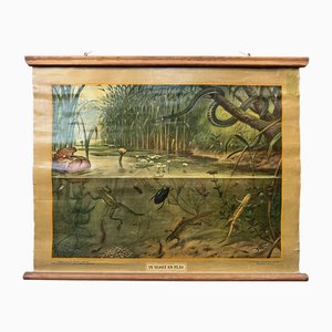 Vintage Linen School Map In Ditch and Pond