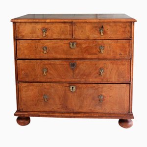 Cassettiera Queen Ann Burr in noce, 1710