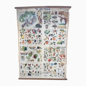 Poster da parete vintage scuola greca