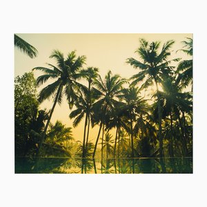 Richard Heeps, Vetyver Pool, Photographic Print, 2013