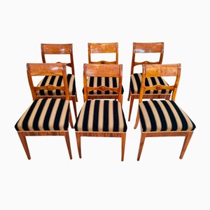 Biedermeier Esszimmerstühle aus Nussholz, 19. Jh., 6er Set
