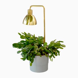 Lámpara Flower modelo G98 de Hans-Agne Jakobsson para HAJ Markaryd, años 60