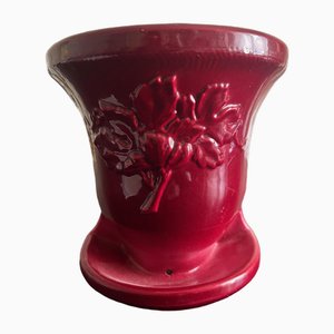 Vintage Wall-Mounted Plant Holder, 1950s