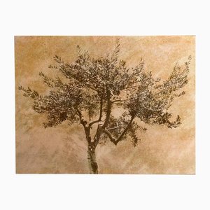 Ian Sanderson, Olive Tree, Limited Edition Fine Art Print, 2012, Paper