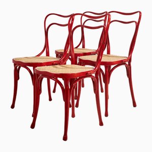 Sedia da museo Café di Adolf Loos per Thonet, inizio XXI secolo