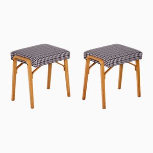 Set of Mid-Century Beech Stools attributed to Ludvik Volak for Drevopodnik Holesov, 1950s