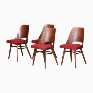 Mid-Century Beech Dining Chairs attributed to Oswald Haerdtl, 1950s, Set of 4