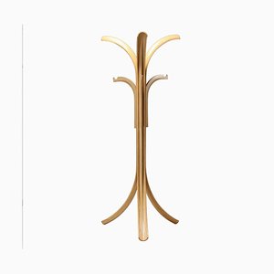 Curved Ash Coat Hanger by Offredi Giovanni for Crassevig, 1970s