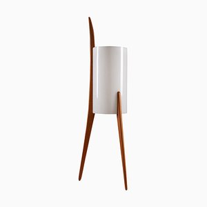 Mid-Century Swedish Floor Lamp in Acrylic and Beech from Luxus, 1960s