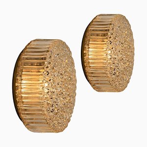 Brass & Amber Glass Wall Lights / Flush Mounts attributed to Motoko Isshi for Staff, 1970, Set of 2