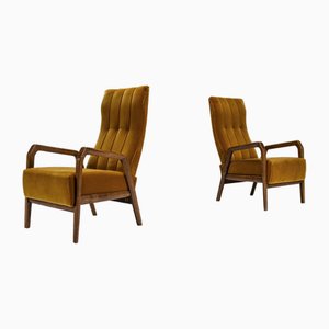 Set of P 30 Armchairs in Ocher by Osvaldo Borsani for Tecno, Italy, 1953
