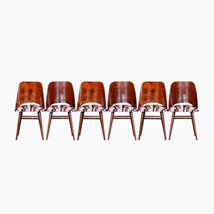 Mid-Century Chairs in Beech by Oswald Haerdtl, 1950s, Set of 6