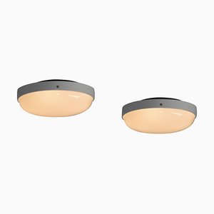 Ceiling Lamp Model 3001/40 attributed to Gino Sarfatti for Arteluce, 1950s
