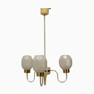 Mid-Century Chandelier by Instala Jilove U Decina, 1970s