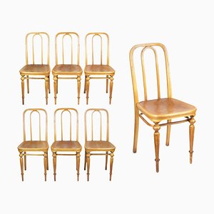 Vintage Chairs from Thonet, 1885, Set of 7
