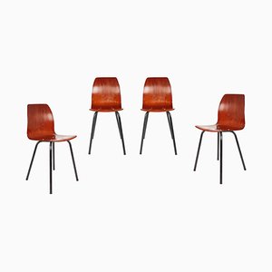 Chaises de Salle à Manger en Métal Noir et Pagwood de Pagholz Flötotto, 1960s, Set de 4