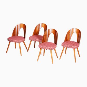 Mid-Century Dining Chairs attributed to Antonín Šuman in Beech & Walnut, Czech, 1950s, Set of 4