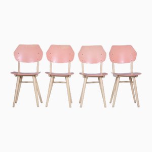 Mid-Century Dining Chairs attributed to Jitona Sobeslav, Beech, Plywood, Czech, 1950s, Set of 4