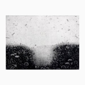Aleksandra Makowska, Herbario, Mezzotint sobre papel, 2003