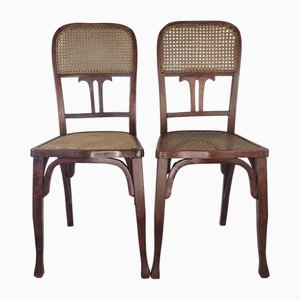 Antike Jugendstil Stühle aus Bugholz, 1890er, 2er Set