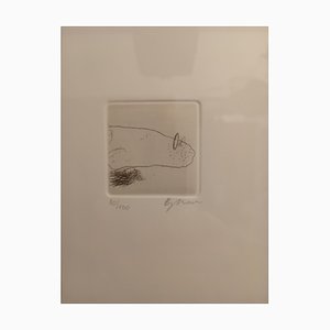 Franz Borghese, Physiognomy, 1990, Engraving, Framed