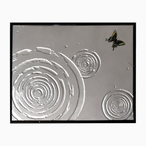 Ephemeral Plaque by Myriam Greff