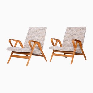 Set of Mid-Century Armchairs in Beech attributed to Tatra Pravenec, Czech, 1950s