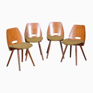 Frantisek Jirak zugeschriebene Mid-Century Stühle aus Nussholz für Tatra Nabytok, Tschechien, 1950er, 4er Set