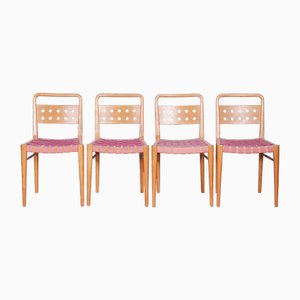 Mid-Century Esszimmerstühle aus Esche, Tschechische, 1950er, 4er Set