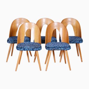 Sillas de comedor Art Déco de fresno y tapicería atribuidos a Antonín Šuman, checas, años 40. Juego de 5